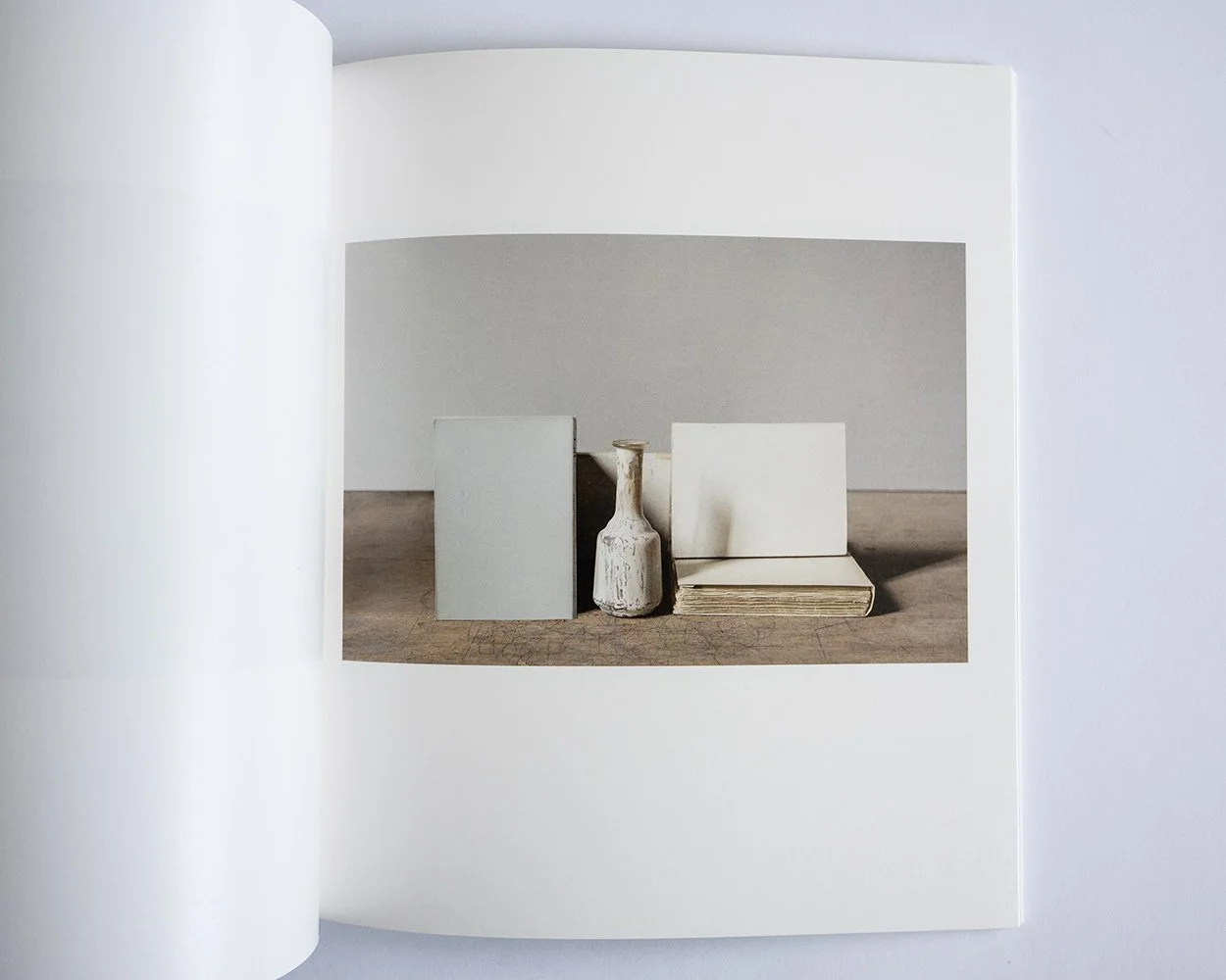 Mary Ellen Bartley – Morandi's books — bookdummypress
